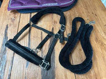 Mooie halsters zwart en blauw beschikbaar voor biedingen