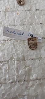 Beloeil, kasteel Beloeil, Ophalen of Verzenden, Zo goed als nieuw, Overige onderwerpen