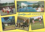 B14 ansichtkaart vakantiepark loohorst america - gelopen, Ophalen of Verzenden, 1980 tot heden, Gelopen, Limburg