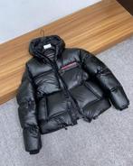 Prada winterjas in diverse maten (ook op te halen), Kleding | Heren, Jassen | Winter, Ophalen of Verzenden, Overige maten