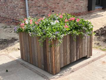 Stevige plantenbak, bomenbak of verhoogde moestuinbak  beschikbaar voor biedingen