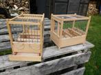 Zangkooien voor kanaries, Dieren en Toebehoren, Mannelijk, Kleurkanarie