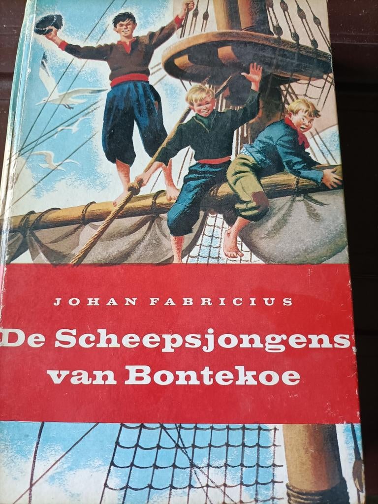 De Scheepsjongens van Bontekoe - Johan Fabricius, Boeken, Ophalen of Verzenden, Gelezen, Johan Fabricius, Fictie algemeen