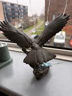 The Alaska Chilkat Bald Eagle Preserve, Ophalen of Verzenden