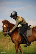 verzorgpony gezocht, Ophalen of Verzenden, Zo goed als nieuw