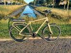 Giant prime E+1 GTS, Ophalen of Verzenden, Zo goed als nieuw, 50 km per accu of meer, Overige merken