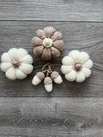 Pompoenen & Eikels Set - Herfst Decoratie beschikbaar voor biedingen