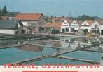 YERSEKE Oesterputten, Verzenden, 1980 tot heden, Gelopen, Zeeland