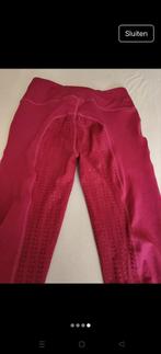 Rij legging epplejeck XL 42, Dieren en Toebehoren, Paardrijkleding, Ophalen of Verzenden, Nieuw, Overige soorten, Onderkleding