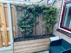Bloembak plantenbak afscheiding, Minder dan 60 cm, Ophalen of Verzenden, Zo goed als nieuw, Rechthoekig