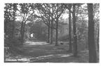 962534	Castricum	NH Geversduin	1950	Gelopen met postzegel