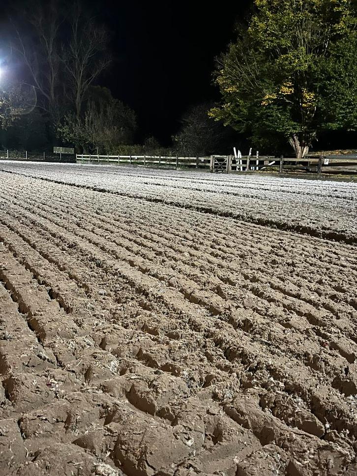 Zelf rijbodem realiseren, Dieren en Toebehoren, Stalling en Weidegang