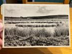 Nijverdal, Verzenden, 1960 tot 1980, Gelopen, Overijssel