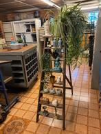 houten trap/etagère met plant en decoraties, Ophalen, Gebruikt