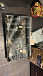 Konijnen/ Cavia hok, Gebruikt, Cavia, Hok, 75 tot 110 cm