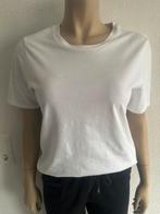 Only basic shirt wit maat Xs Kan ook als maat S, Kleding | Dames, T-shirts, Only, Verzenden, Wit, Zo goed als nieuw