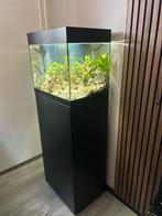 Oase Styleline 85 (splinternieuw), Dieren en Toebehoren, Vissen | Aquaria en Toebehoren, Ophalen of Verzenden, Zo goed als nieuw