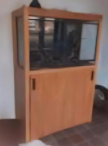 Terrarium met kast beschikbaar voor biedingen