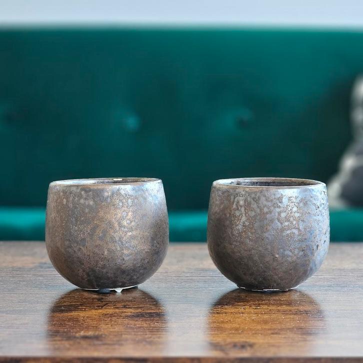 2 Bruine Plantenpotjes - Succulenten, Huis en Inrichting, Woonaccessoires | Schalen en Manden, Ophalen