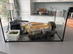Aquarium 60x30x30, Ophalen, Zo goed als nieuw