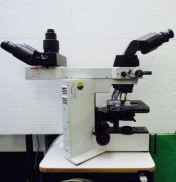 Microscoop Olympus BX 41 met verwarmde tafel beschikbaar voor biedingen