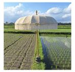 Super mooie parasol in de kleur cafe latte, Tuin en Terras, Parasols, Ophalen, Nieuw