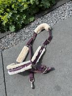 Equestrian Stockholm halster Orchid Bloom (COB), Ophalen of Verzenden, Zo goed als nieuw, Overige soorten