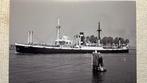 KNSM  ARIADNE   1919-1959  Boele Bolnes  NZK, Ophalen of Verzenden