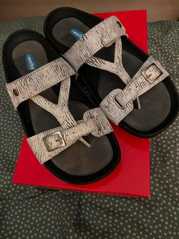 Wolky teenslipper zeebra wit 39. beschikbaar voor biedingen