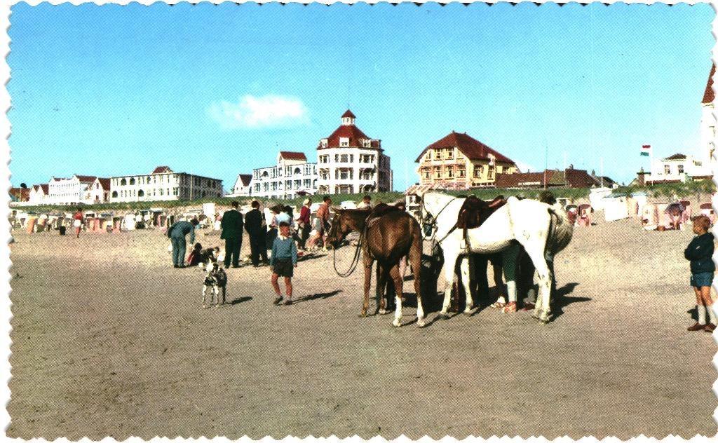914492	Noordwijk 	aan Zee	ZH 1974 strand	paarden	 Gelopen, Ophalen of Verzenden, Voor 1920, Gelopen, Noord-Brabant