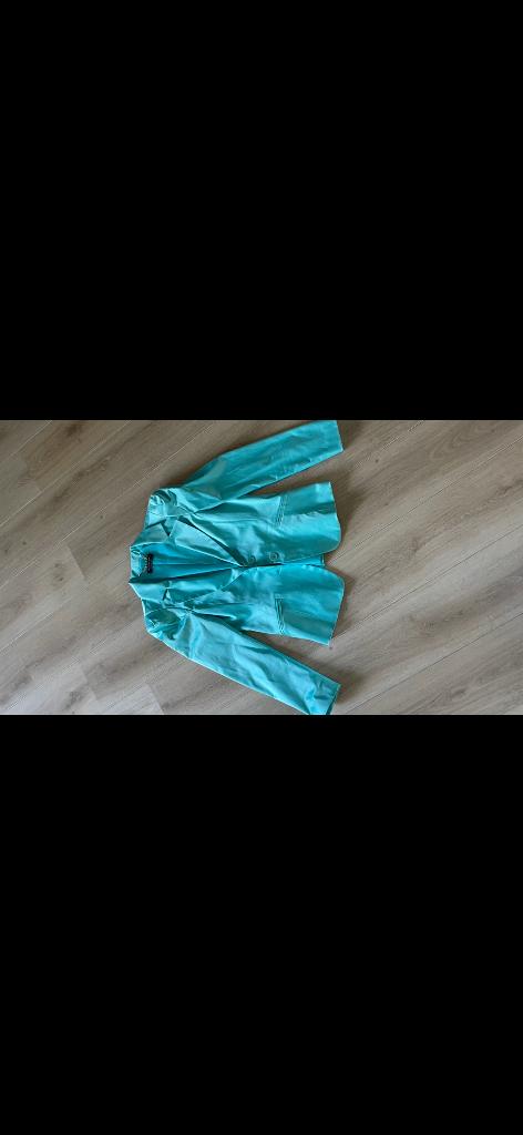 Colbert maat L / 40, Kleding | Dames, Overige kleuren, Verzenden, Maat 42/44 (L), Zo goed als nieuw