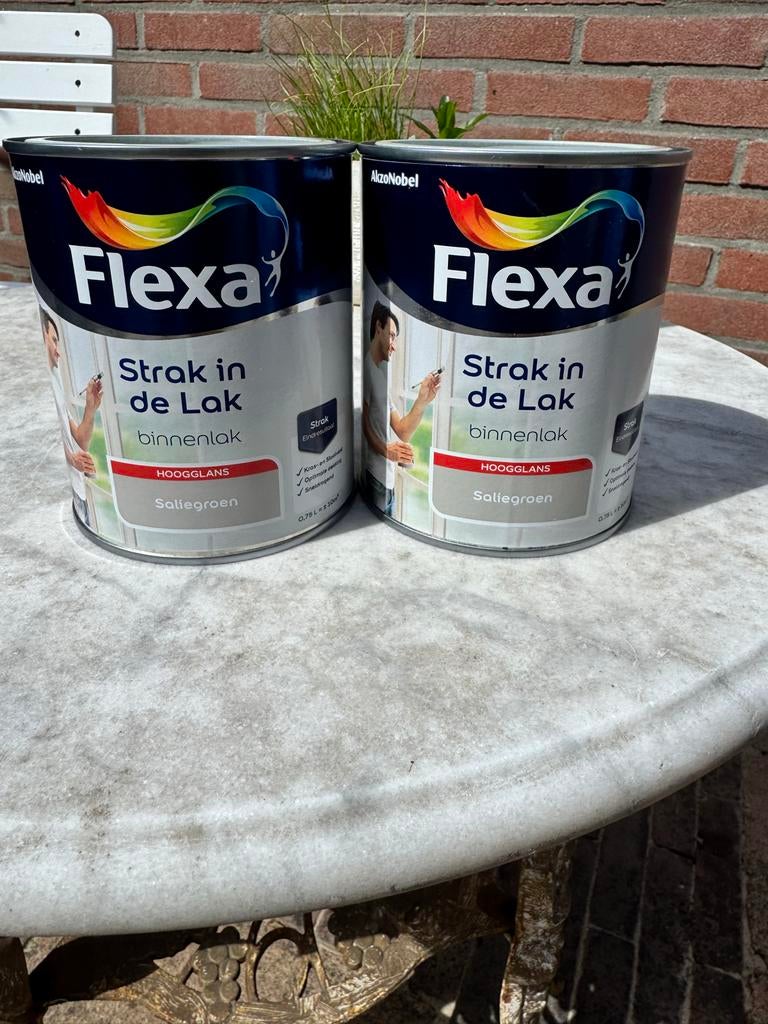 Flexa Strak in de Lak Binnenlak Hoogglans Saliegroen, Nieuw, Ophalen of Verzenden, Lak, Minder dan 5 liter