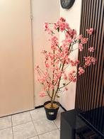 Bloeseboom, Ophalen of Verzenden, Zo goed als nieuw