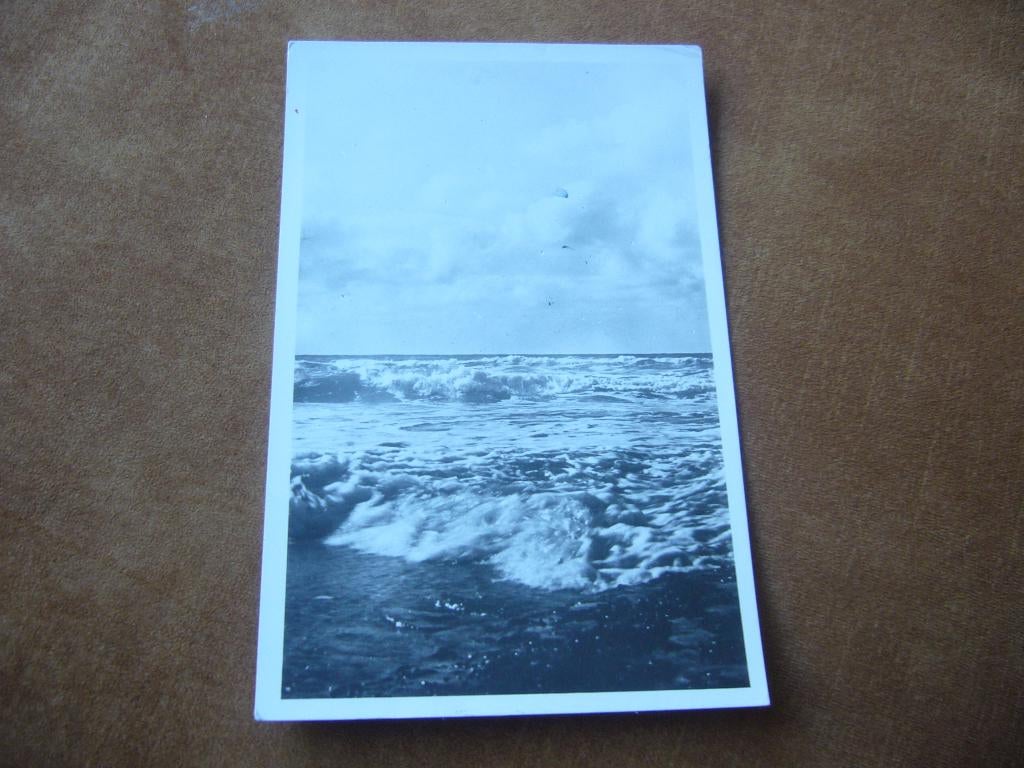 VLIELAND  =  WOELIGE ZEE, Ophalen of Verzenden, 1940 tot 1960, Gelopen, Waddeneilanden