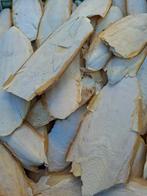 Sepia 30 stuks, Dieren en Toebehoren, Meerdere dieren