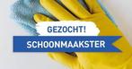 Schoonmaaksters gezocht, Vacatures, Overige niveaus, Starter, Overige vormen