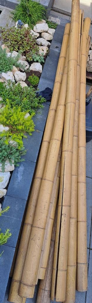Bamboe, Tuin en Terras, Palen, Balken en Planken, Ophalen, 250 cm of meer, Palen