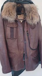 Parajumpers dames jas, Bruin, Maat 42/44 (L), Zo goed als nieuw, Parajumpers