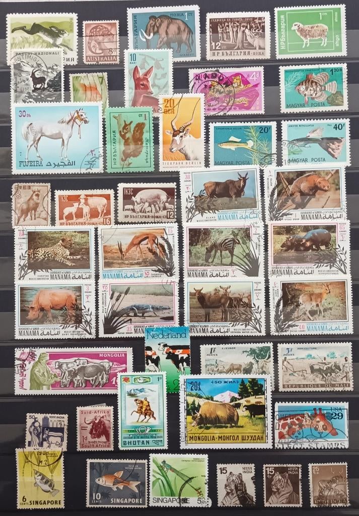 Postzegels Dieren, Ophalen of Verzenden, Gestempeld, Dier of Natuur