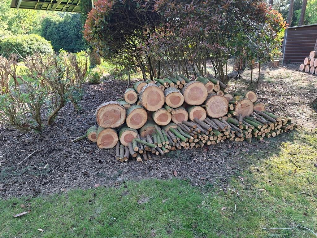 Vers gezaagd dennenhout - circa 5 kuub, 3 tot 6 m³, Ophalen of Verzenden, Overige houtsoorten, Blokken