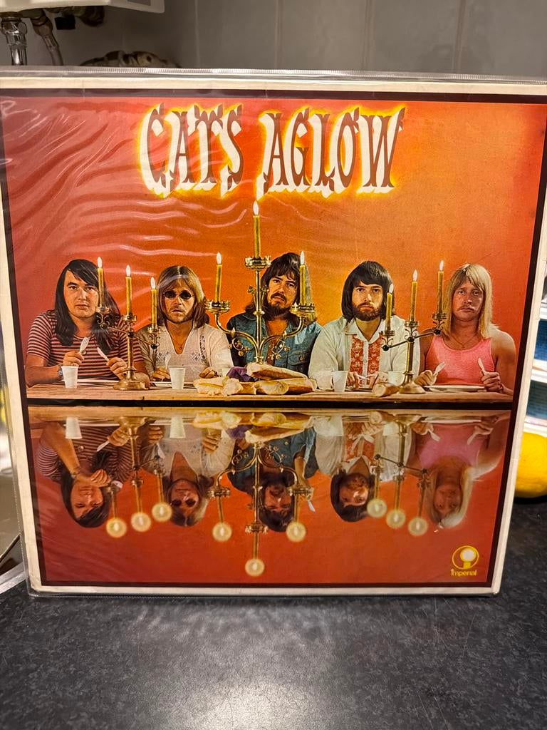 T7. Cats Aglow - Vintage Vinyl LP (1970s Pop/Rock), Gebruikt, 1970 - 1979, 12 inch, Fotohoes