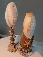 Unieke schelplampen 46 en 41 cm 1koop 55€, Huis en Inrichting, Lampen | Tafellampen, Ophalen, Minder dan 50 cm