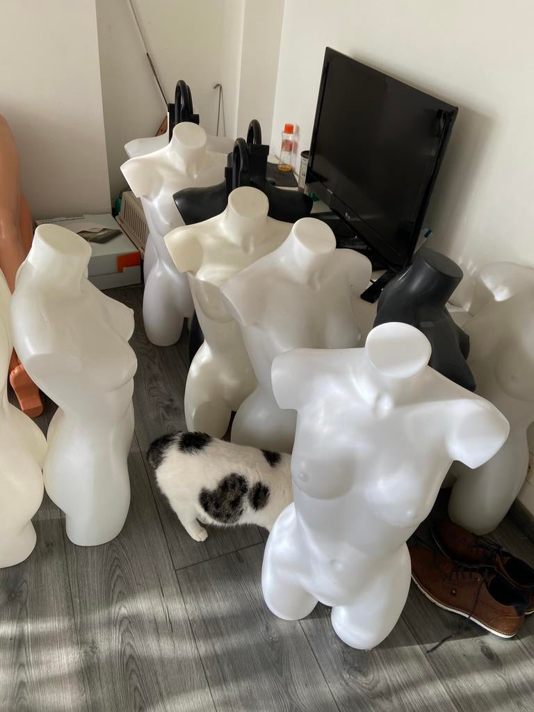 etalagepop/paspop/mannequin, Ophalen, Naaimachine, Brother