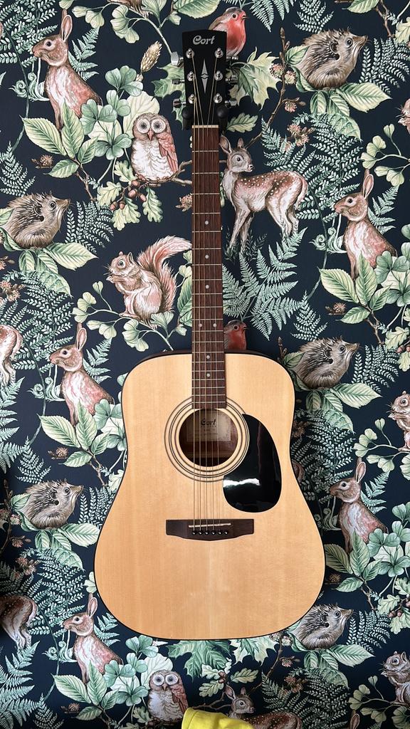 Cort AD-810 westerngitaar, Muziek en Instrumenten, Ophalen, Zo goed als nieuw, Western- of Steelstringgitaar