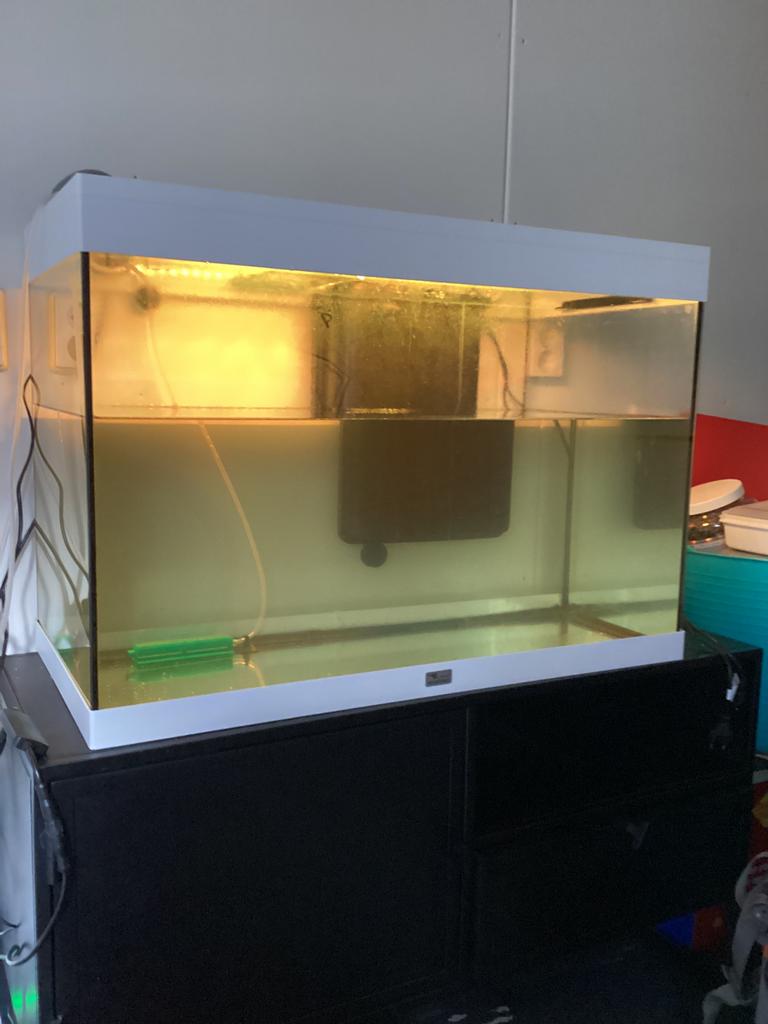 Aqualantis splendid 80 aquarium, Dieren en Toebehoren, Vissen | Aquaria en Toebehoren, Ophalen of Verzenden, Zo goed als nieuw
