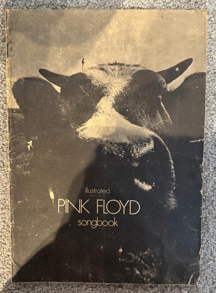 Pink Floyd Songbook, Boeken, Muziek, Onbekend, Artiest, Ophalen of Verzenden, Zo goed als nieuw