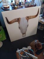 Glasschilderij Stierschedel Wanddecoratie, Ophalen of Verzenden, Gebruikt