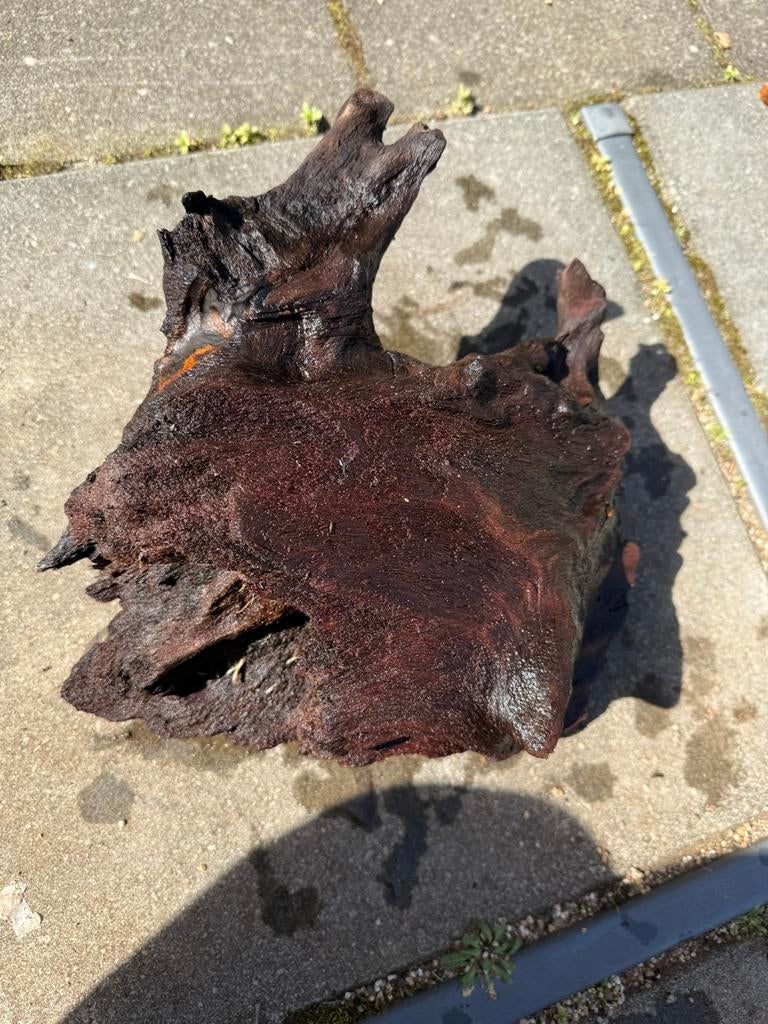 5. Aquariumhout / driftwood, Vis