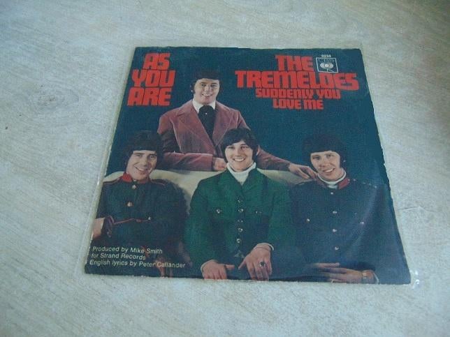 The Tremeloes Singles, Cd's en Dvd's, Ophalen of Verzenden, 1960 tot 1980, Gebruikt, Overige formaten