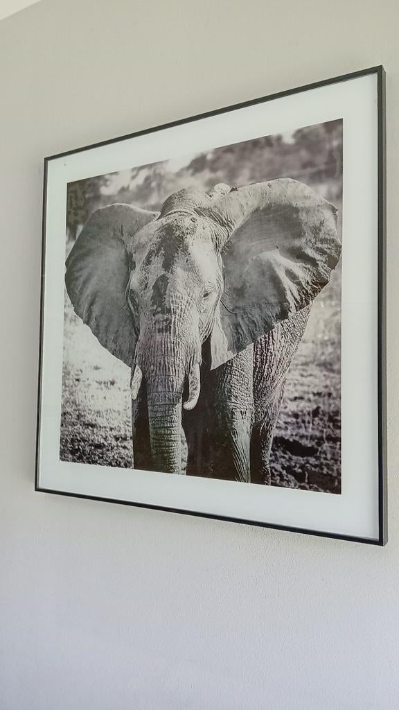 Schilderijen, Ophalen